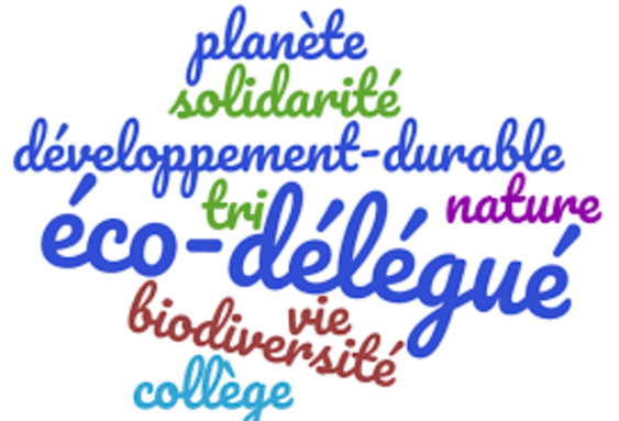 Eco délégués2.png